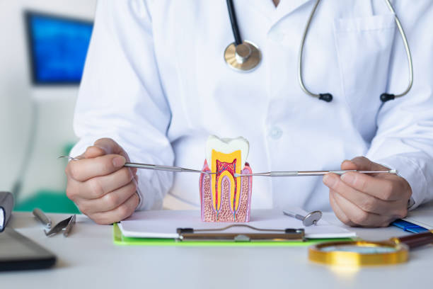Best Emergency Dental Care for Sports Injuries in Nett, MO